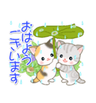 梅雨～夏 ベビーにゃんこ（個別スタンプ：1）