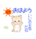 梅雨～夏 ベビーにゃんこ（個別スタンプ：2）