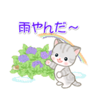 梅雨～夏 ベビーにゃんこ（個別スタンプ：9）