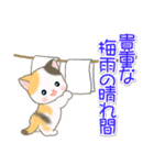 梅雨～夏 ベビーにゃんこ（個別スタンプ：12）
