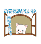 梅雨～夏 ベビーにゃんこ（個別スタンプ：13）