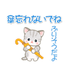 梅雨～夏 ベビーにゃんこ（個別スタンプ：14）
