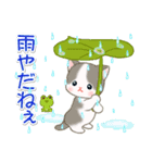 梅雨～夏 ベビーにゃんこ（個別スタンプ：15）