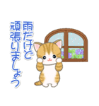 梅雨～夏 ベビーにゃんこ（個別スタンプ：16）