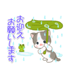 梅雨～夏 ベビーにゃんこ（個別スタンプ：19）