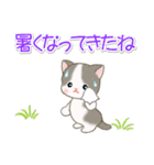 梅雨～夏 ベビーにゃんこ（個別スタンプ：21）