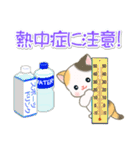 梅雨～夏 ベビーにゃんこ（個別スタンプ：24）