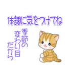 梅雨～夏 ベビーにゃんこ（個別スタンプ：27）