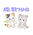 梅雨～夏 ベビーにゃんこ（個別スタンプ：28）
