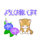 梅雨～夏 ベビーにゃんこ（個別スタンプ：36）