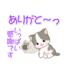 梅雨～夏 ベビーにゃんこ（個別スタンプ：37）