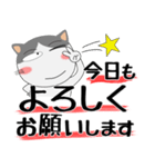 ハチワレ猫★デカ文字（個別スタンプ：2）
