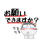 ハチワレ猫★デカ文字（個別スタンプ：5）