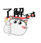 ハチワレ猫★デカ文字（個別スタンプ：6）
