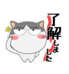 ハチワレ猫★デカ文字（個別スタンプ：11）