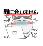 ハチワレ猫★デカ文字（個別スタンプ：20）