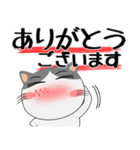 ハチワレ猫★デカ文字（個別スタンプ：28）
