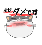 ハチワレ猫★デカ文字（個別スタンプ：32）