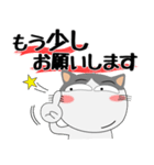 ハチワレ猫★デカ文字（個別スタンプ：33）
