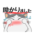 ハチワレ猫★デカ文字（個別スタンプ：36）