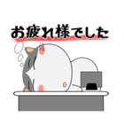 ハチワレ猫★デカ文字（個別スタンプ：38）