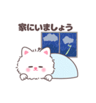 もけもけにゃんこ（個別スタンプ：37）