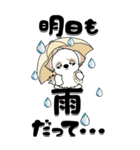 【Big】シーズー犬89『梅雨～初夏』（個別スタンプ：10）