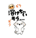 【Big】シーズー犬89『梅雨～初夏』（個別スタンプ：12）