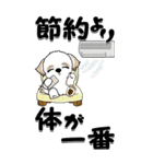 【Big】シーズー犬89『梅雨～初夏』（個別スタンプ：31）