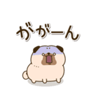 送りやすい♪ころころパグさん（個別スタンプ：21）