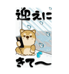 【Big】ちゃちゃ丸 27『梅雨～初夏』（個別スタンプ：37）
