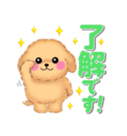 かわいいトイプードル「でか文字」（個別スタンプ：1）