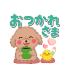 かわいいトイプードル「でか文字」（個別スタンプ：9）