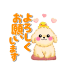 かわいいトイプードル「でか文字」（個別スタンプ：11）