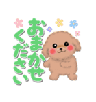 かわいいトイプードル「でか文字」（個別スタンプ：12）