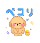 かわいいトイプードル「でか文字」（個別スタンプ：16）