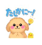 かわいいトイプードル「でか文字」（個別スタンプ：19）