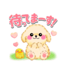 かわいいトイプードル「でか文字」（個別スタンプ：23）