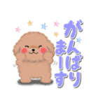 かわいいトイプードル「でか文字」（個別スタンプ：27）