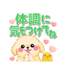 かわいいトイプードル「でか文字」（個別スタンプ：29）