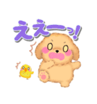 かわいいトイプードル「でか文字」（個別スタンプ：34）