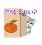 ころころ子猫がかくれんぼ（個別スタンプ：1）