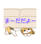 ころころ子猫がかくれんぼ（個別スタンプ：2）