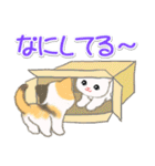 ころころ子猫がかくれんぼ（個別スタンプ：4）
