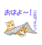 ころころ子猫がかくれんぼ（個別スタンプ：5）
