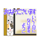 ころころ子猫がかくれんぼ（個別スタンプ：6）