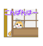 ころころ子猫がかくれんぼ（個別スタンプ：10）