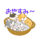 ころころ子猫がかくれんぼ（個別スタンプ：11）