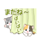 ころころ子猫がかくれんぼ（個別スタンプ：12）
