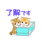 ころころ子猫がかくれんぼ（個別スタンプ：13）